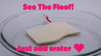Floofah Luffa Fiber Kitchen Sponge