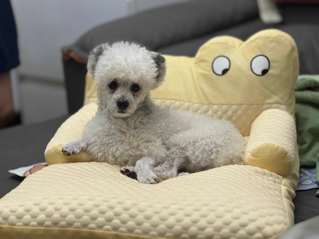 Warm Dog Sofa Bed Winter Pet Dog Cat Bed Sleeping House Kennel Mat Cat Puppy Mattress Pet House Cushion For Small Large Dogs